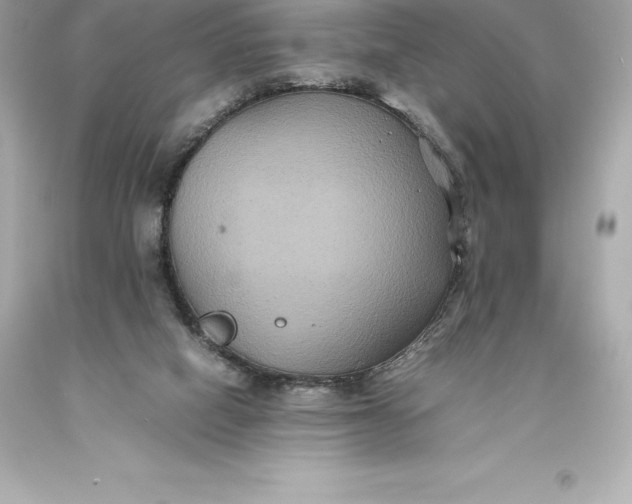 X0000093370066200711011237