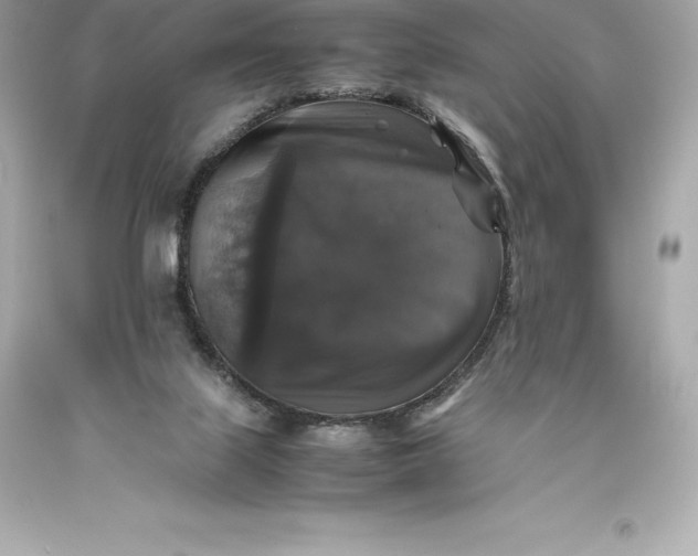 X0000093370067200711011237