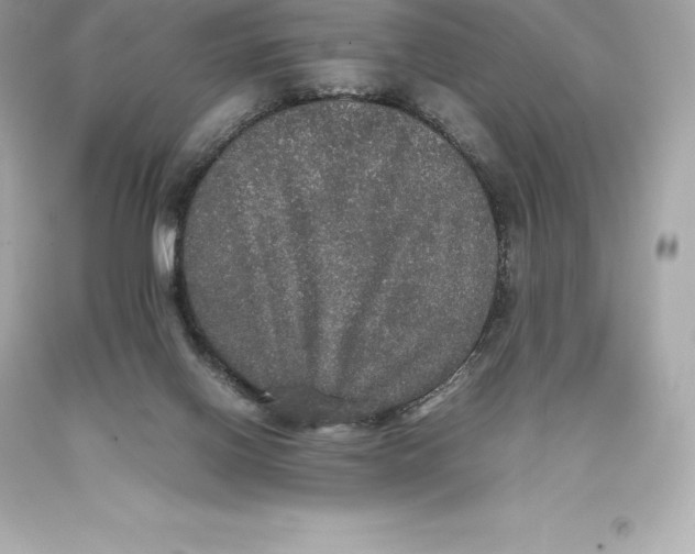 X0000093370070200711011237