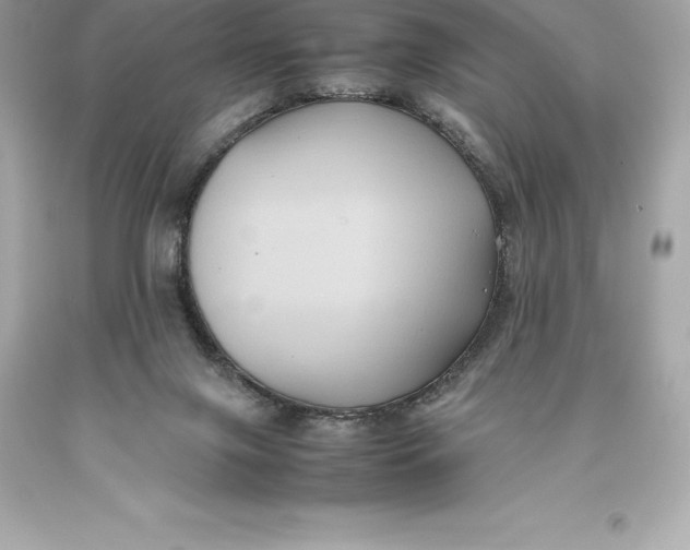 X0000093370071200711011237