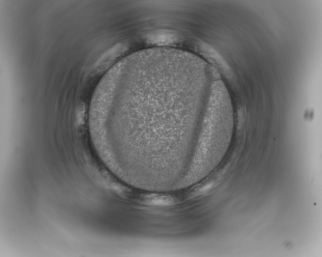 X0000093370073200711011237