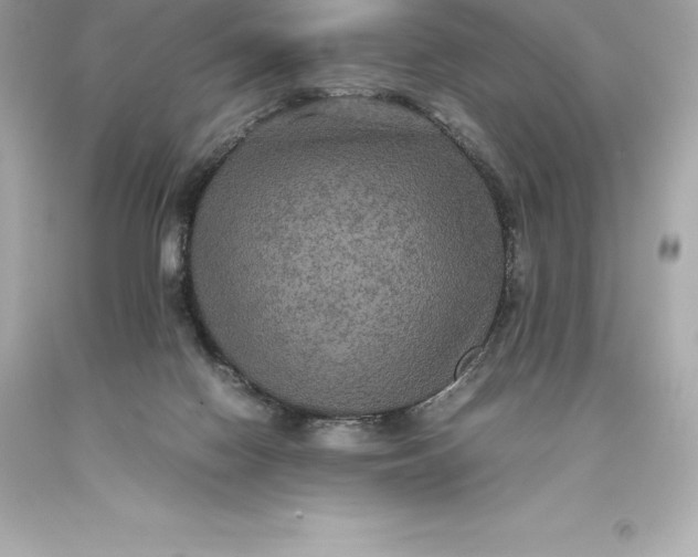 X0000093370074200711011237