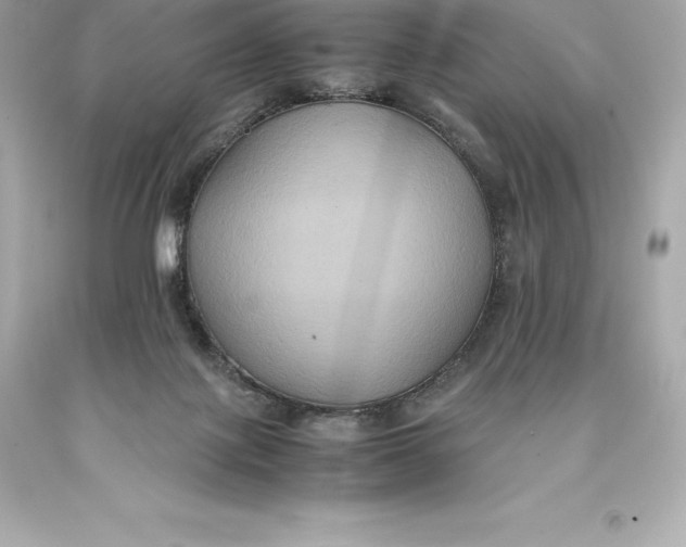 X0000093370075200711011237