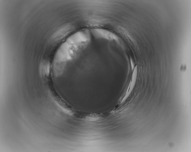 X0000093370076200711011237