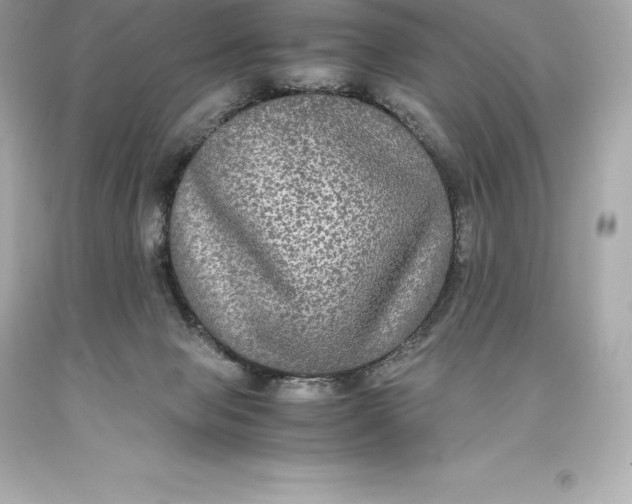 X0000093370077200711011237