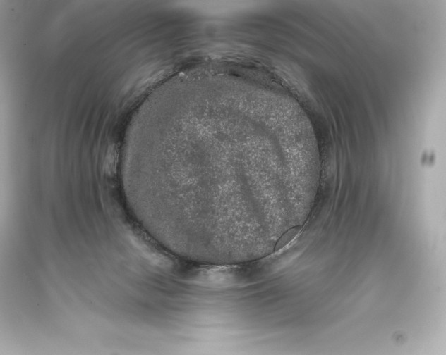 X0000093370078200711011237