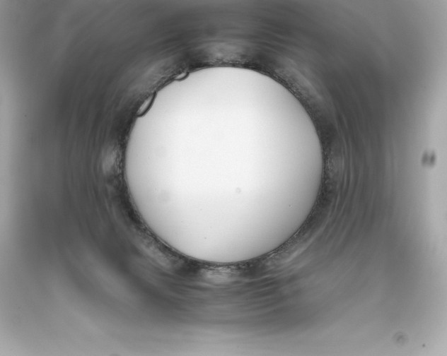 X0000093370079200711011237