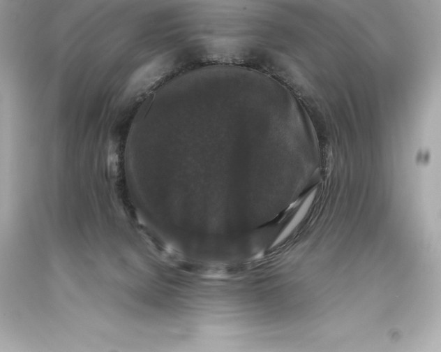 X0000093370080200711011237