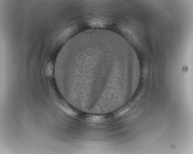 X0000093370081200711011237