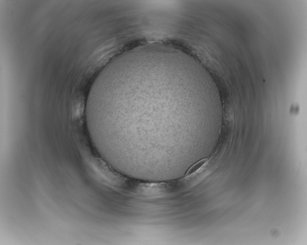 X0000093370082200711011237