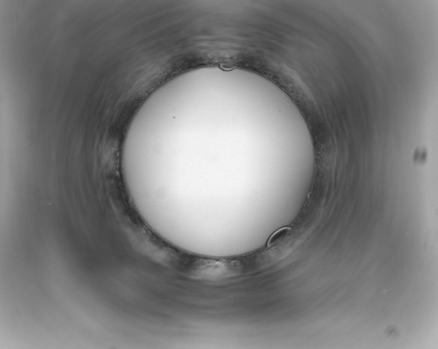 X0000093370083200711011237