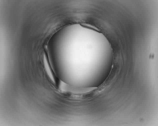 X0000093370084200711011237
