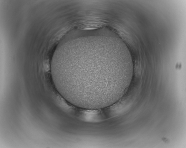 X0000093370085200711011237