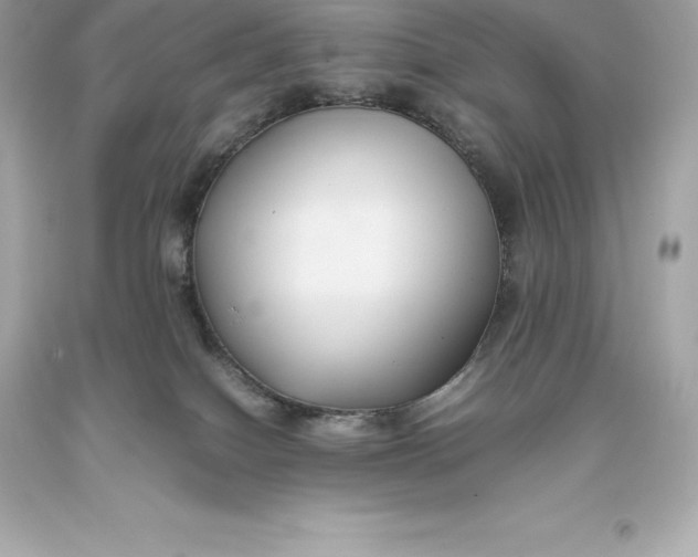 X0000093370086200711011237