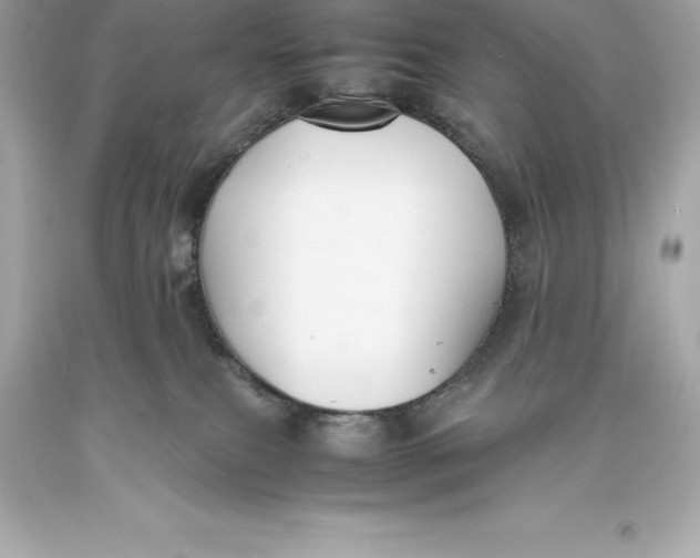 X0000093370087200711011237