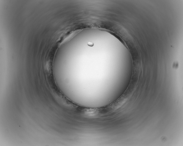 X0000093370088200711011237