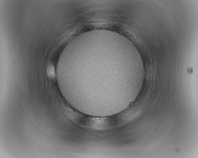 X0000093370089200711011237