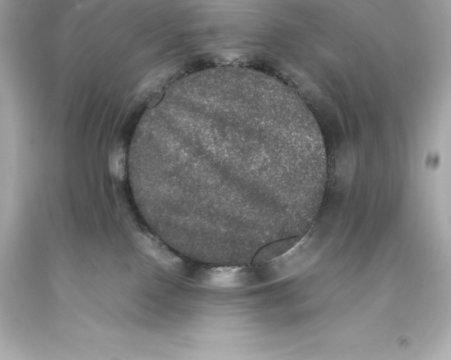 X0000093370090200711011237