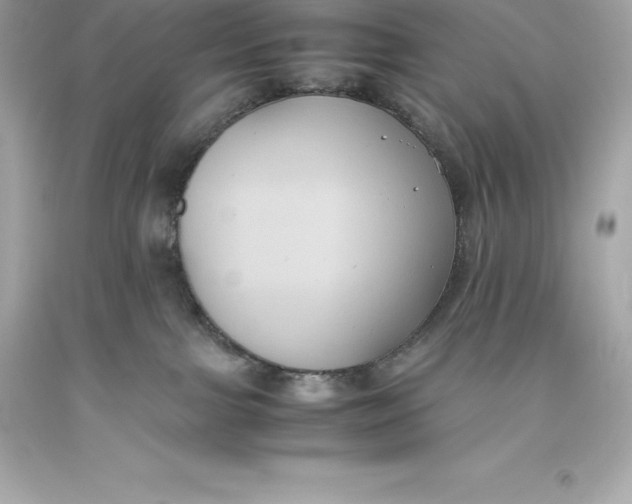 X0000093370091200711011237