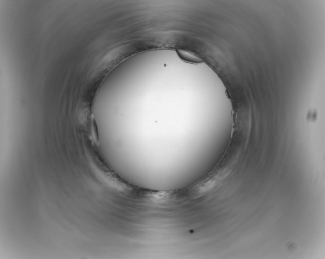 X0000093370092200711011237