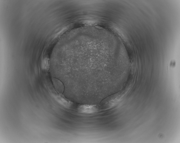 X0000093370093200711011237