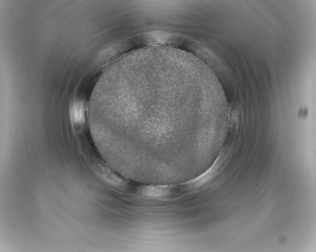 X0000093370094200711011237