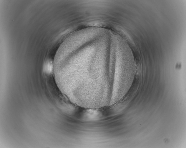X0000093370095200711011237