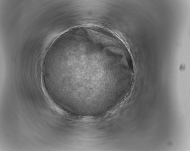 X0000093370097200711011237