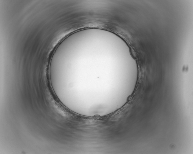 X0000093370098200711011237