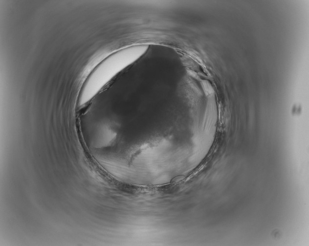 X0000093370099200711011237