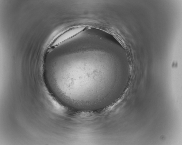 X0000093370101200711011237