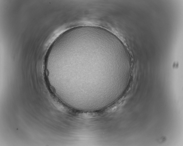 X0000093370103200711011237