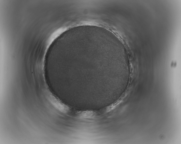 X0000093370104200711011237