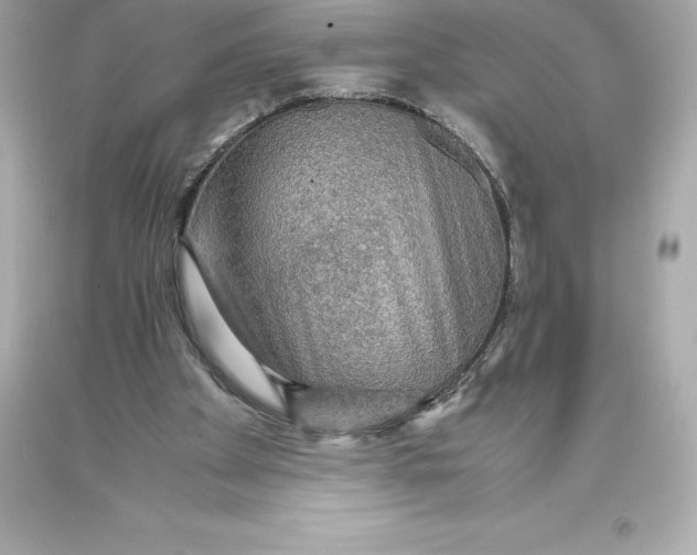 X0000093370105200711011237