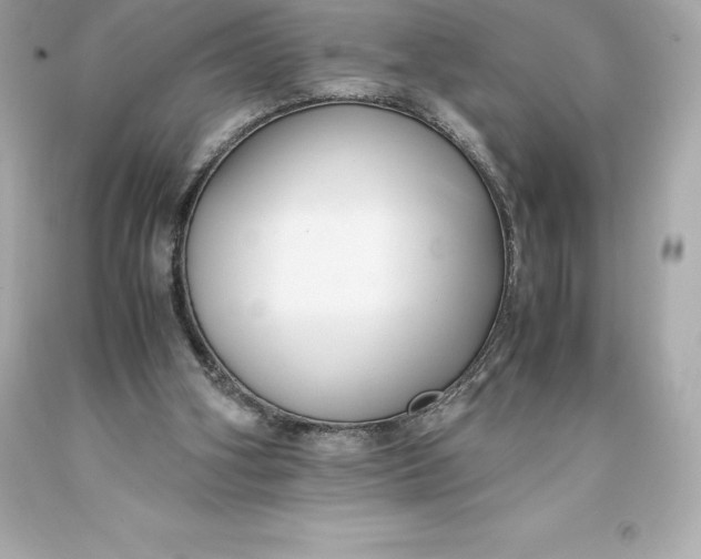 X0000093370106200711011237