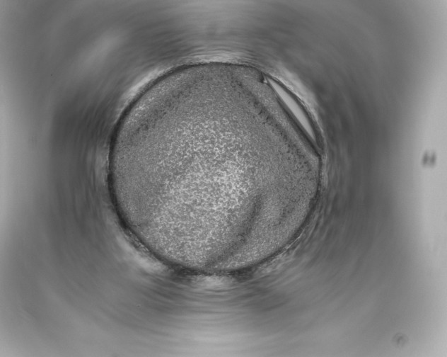 X0000093370107200711011237