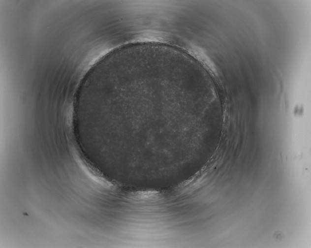 X0000093370108200711011237