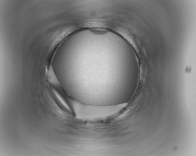 X0000093370109200711011237