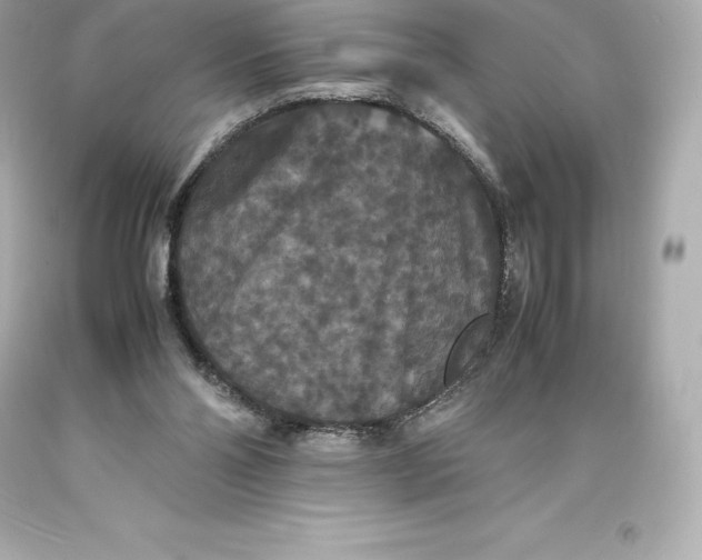 X0000093370110200711011237