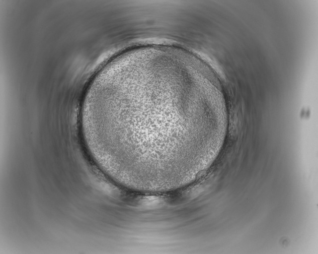 X0000093370111200711011237