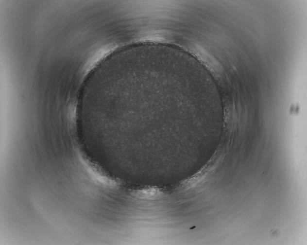 X0000093370112200711011237
