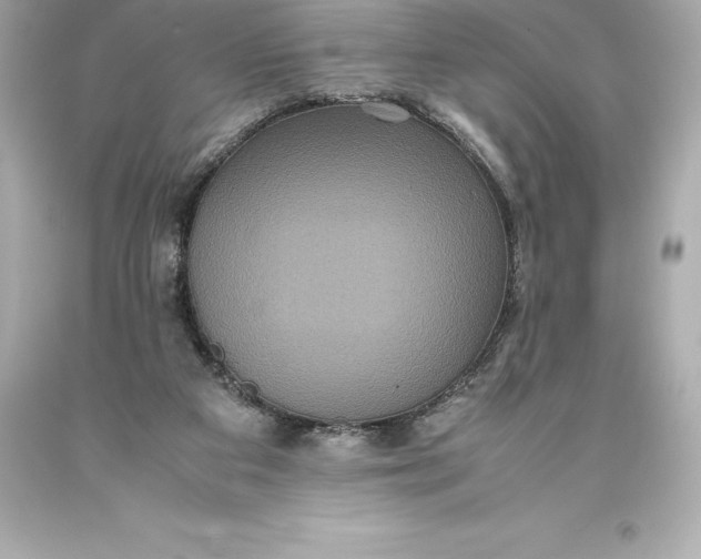X0000093370113200711011237
