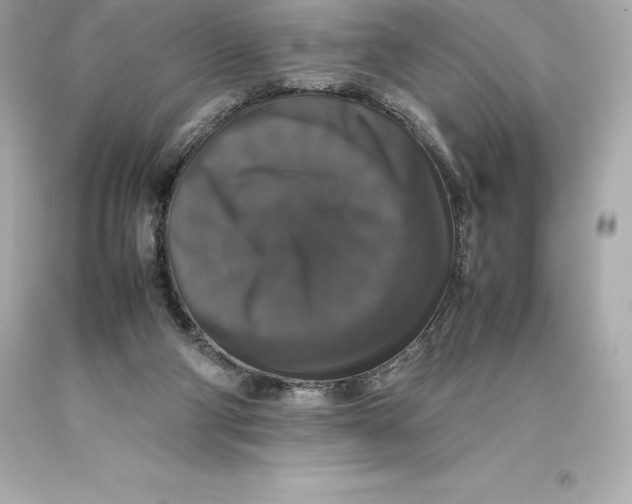 X0000093370114200711011237