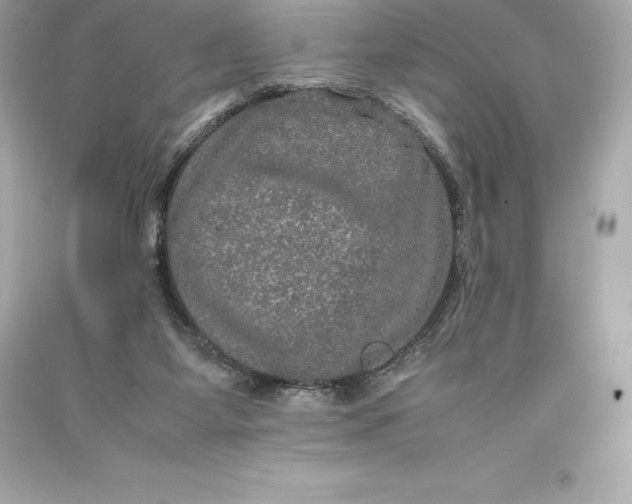 X0000093370115200711011237