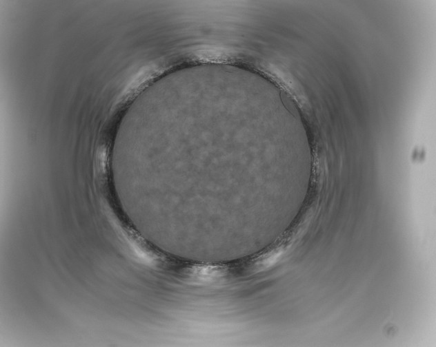 X0000093370117200711011237