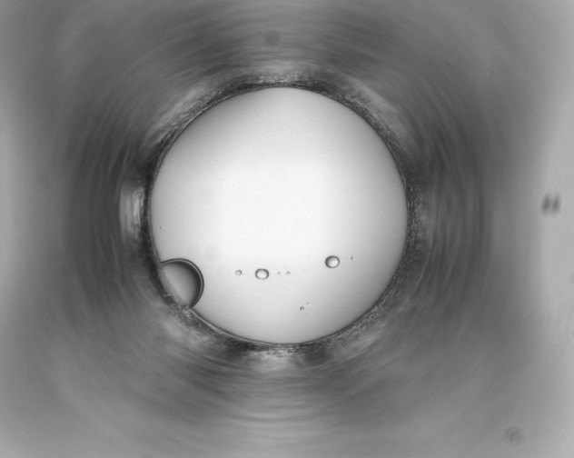 X0000093370118200711011237