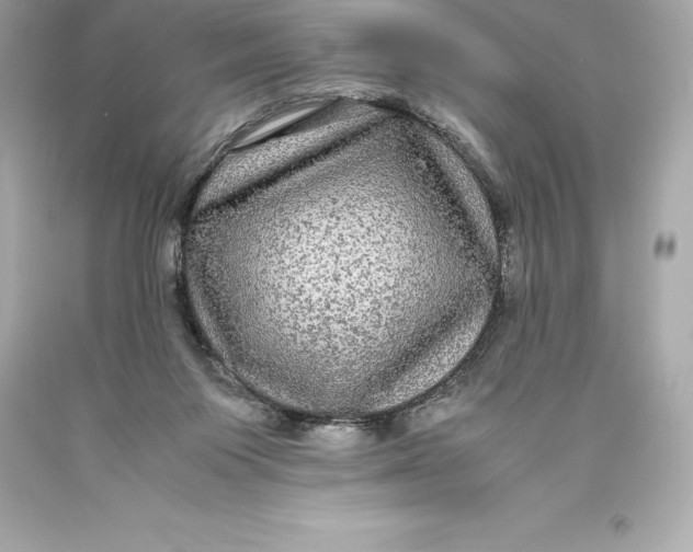 X0000093370119200711011237