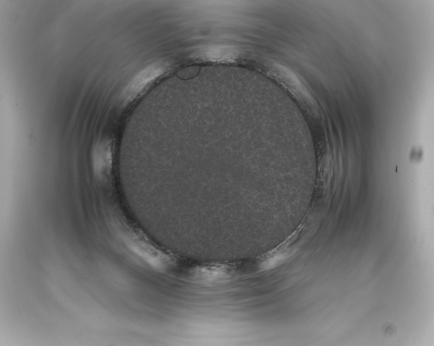 X0000093370120200711011237