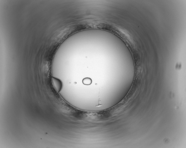 X0000093370121200711011237