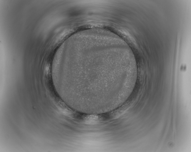 X0000093370123200711011236